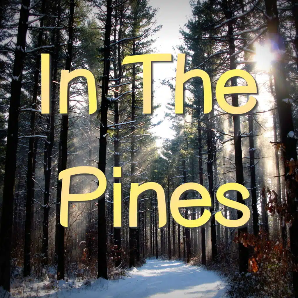 In the Pines