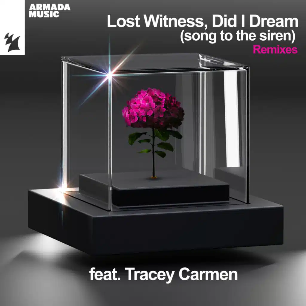 Did I Dream (Song To The Siren) (Remixes) [feat. Tracey Carmen]