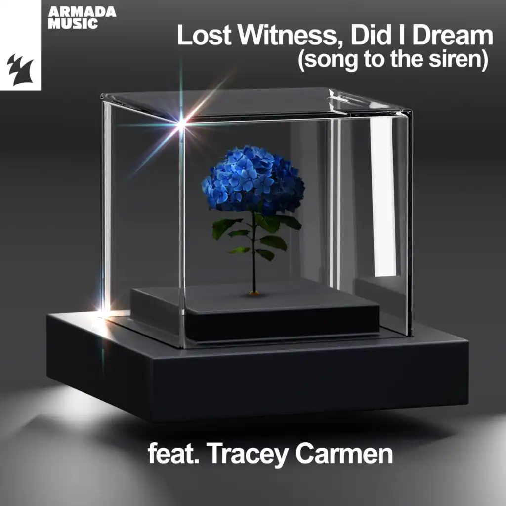 Did I Dream (Song To The Siren) (Original Edit) [feat. Tracey Carmen]