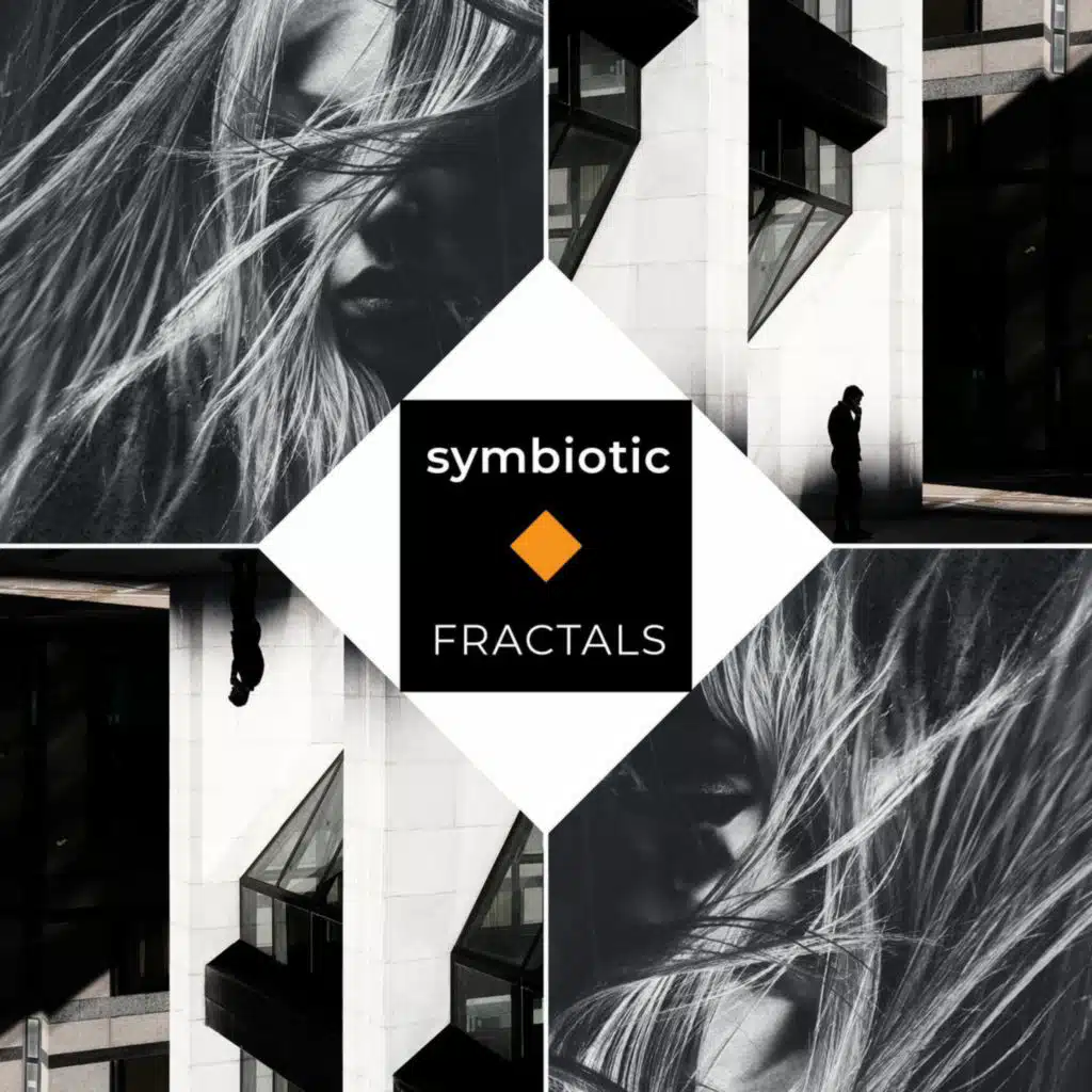 Fractals