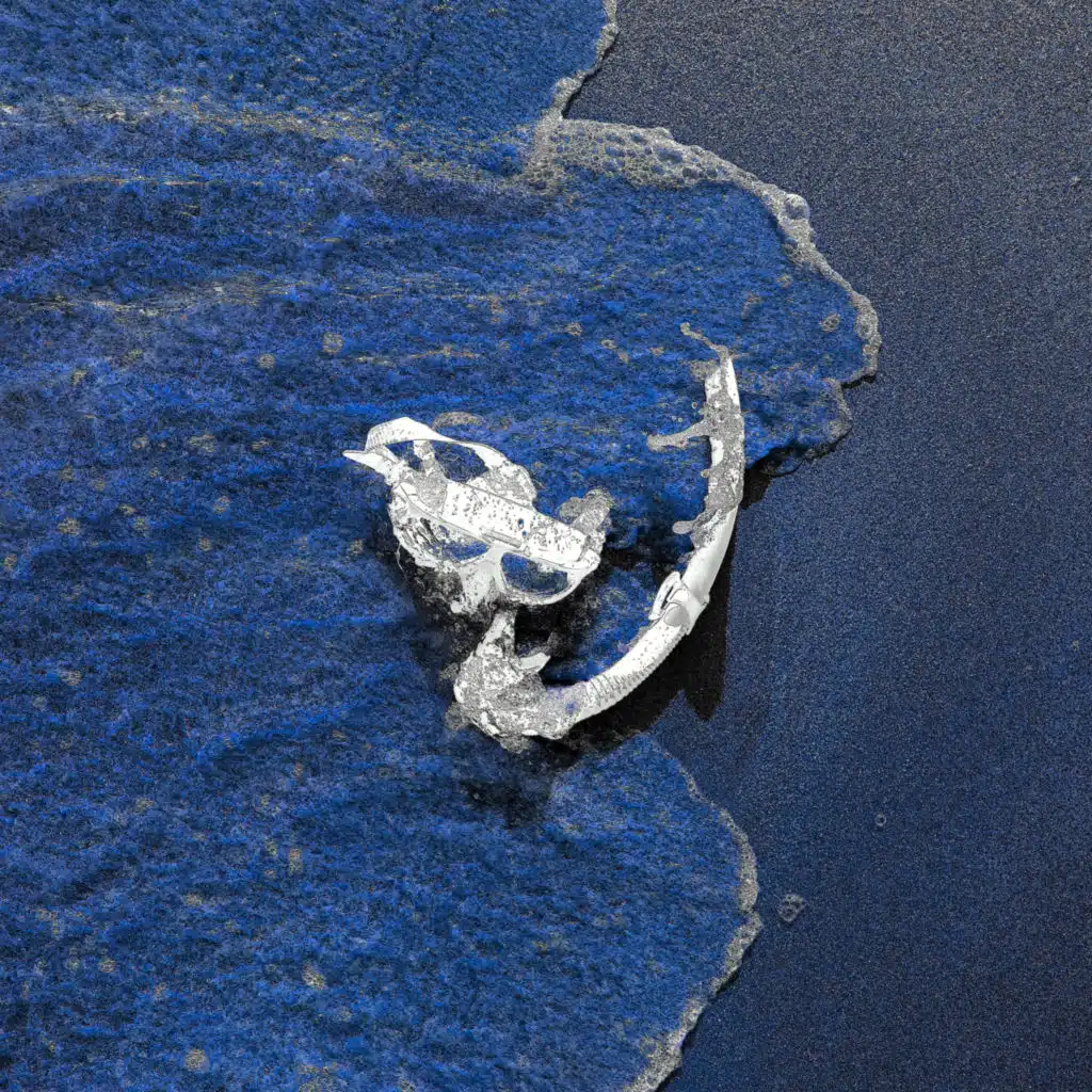 Diver