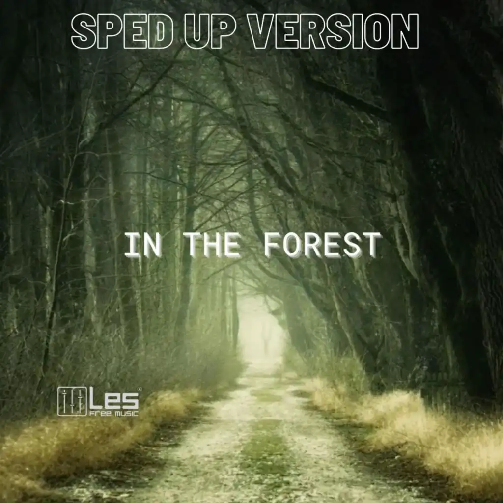 In the forest (sped up version)