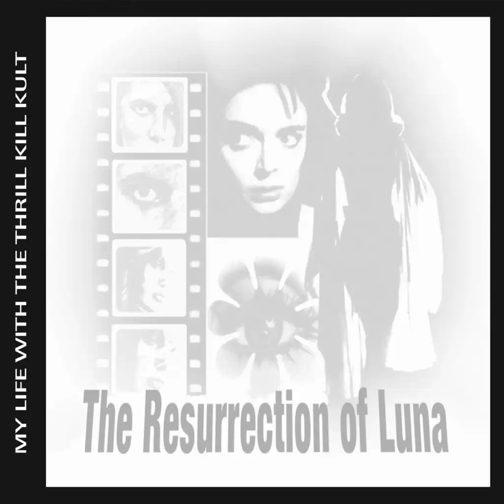 The Resurrection Of Luna