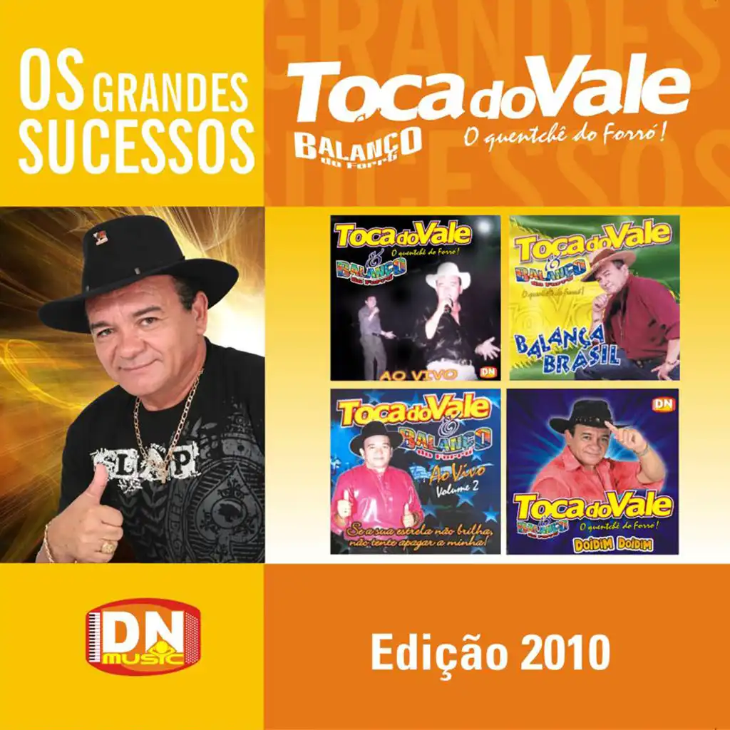 Os Grandes Sucessos - Edição 2010