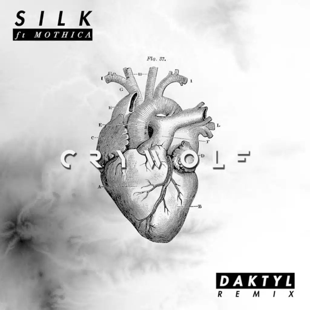 Silk (Daktyl Remix) [feat. Mothica]