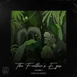 The Feathers' Eyes Vol.4