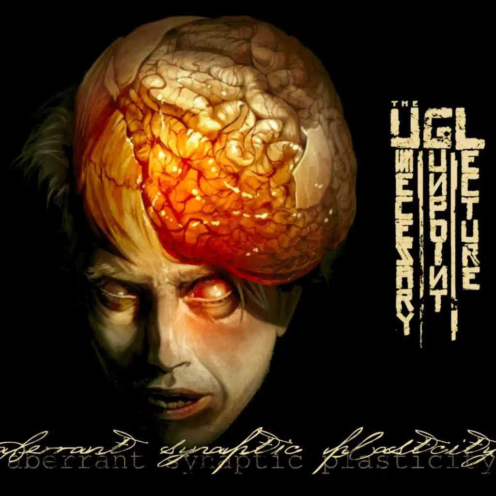 Aberrant Synaptic Plasticity