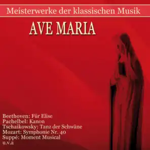 Ave Maria (arr. for Chamber Orchestra)