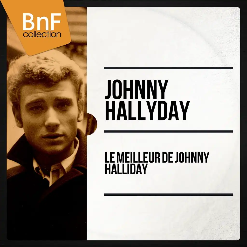Le meilleur de Johnny Halliday (Mono Version)