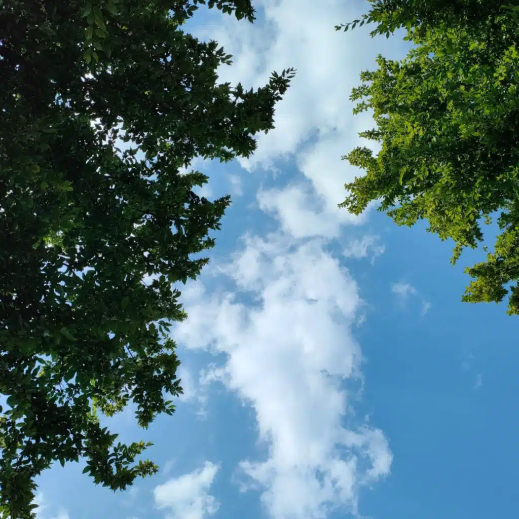 Looking out of the window vol. I