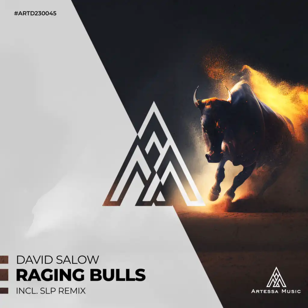 Raging Bulls (SLP Remix)