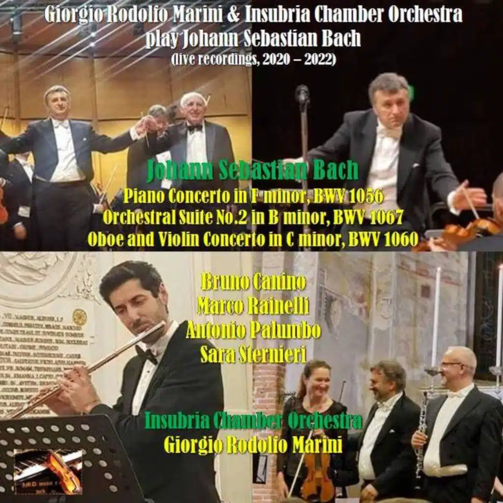 Giorgio Rodolfo Marini