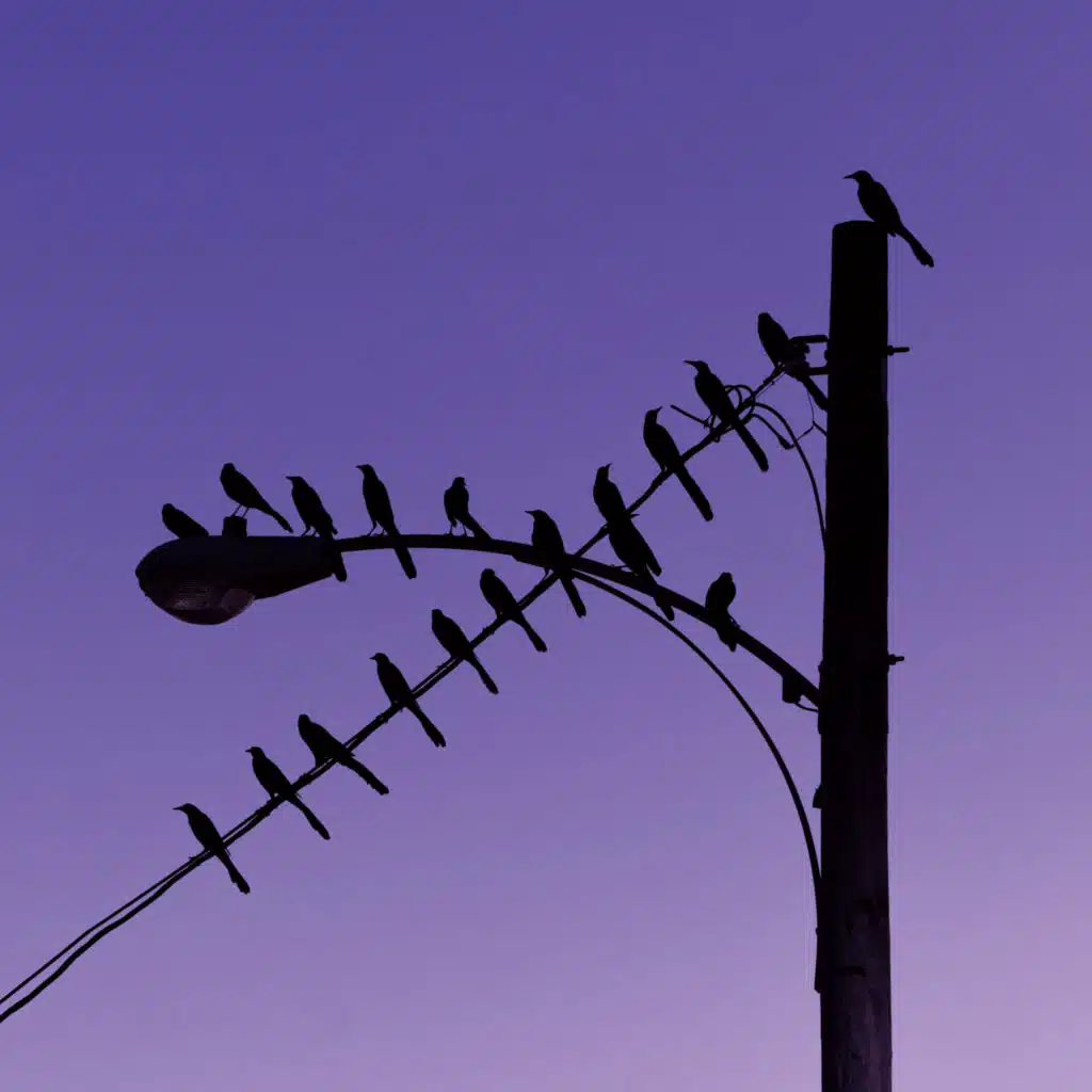 JKriv & Peter Matson