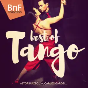 Best of Tango (The Best Tango Tracks Played by Classic Artists Like Astor Piazzolla or Carlos Gardel...)