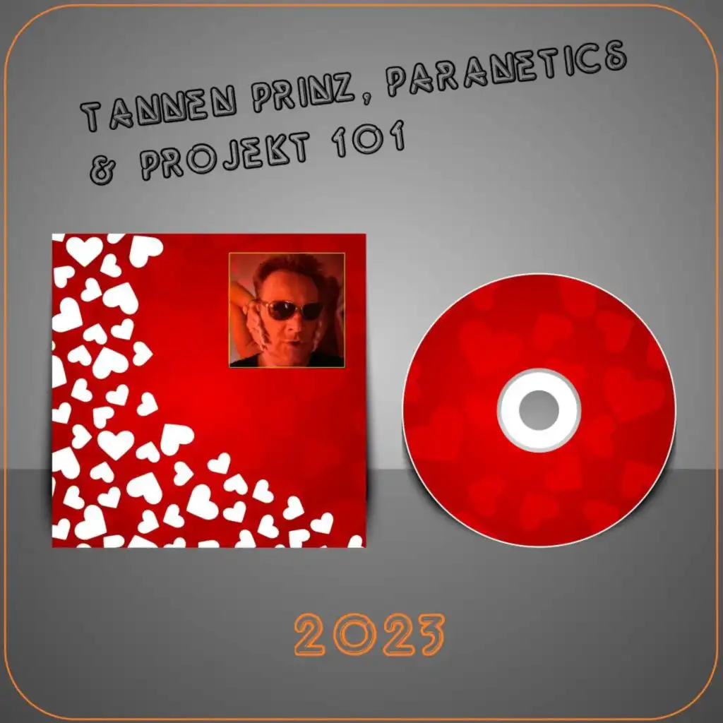 TanneN PrinZ, Paranetics & Projekt 101