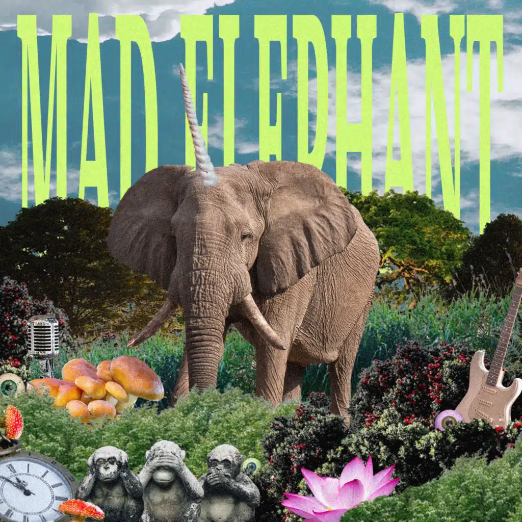 Mad Elephant