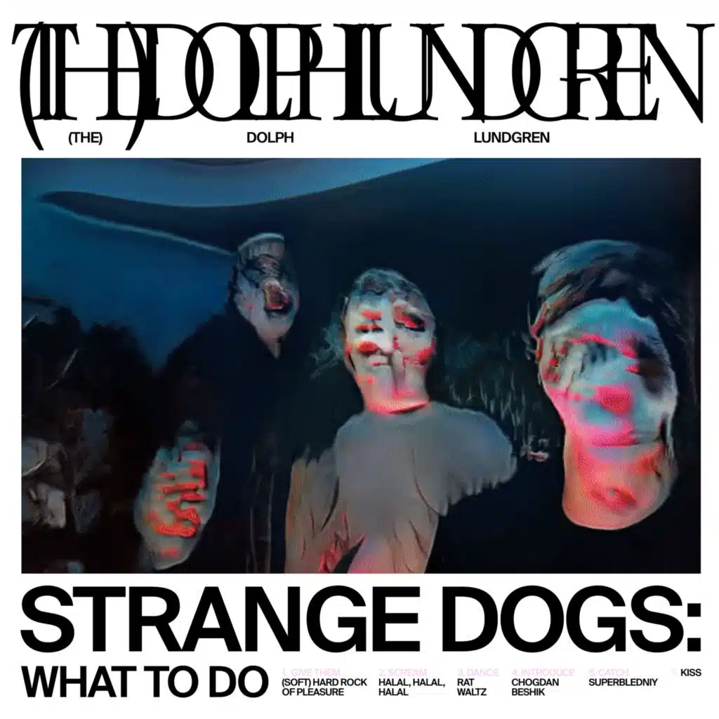 Strange Dogs: What to Do