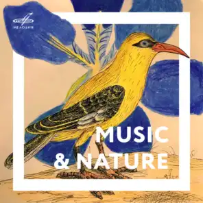 Music & Nature