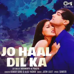 Jo Haal Dil Ka (Lofi Mix)