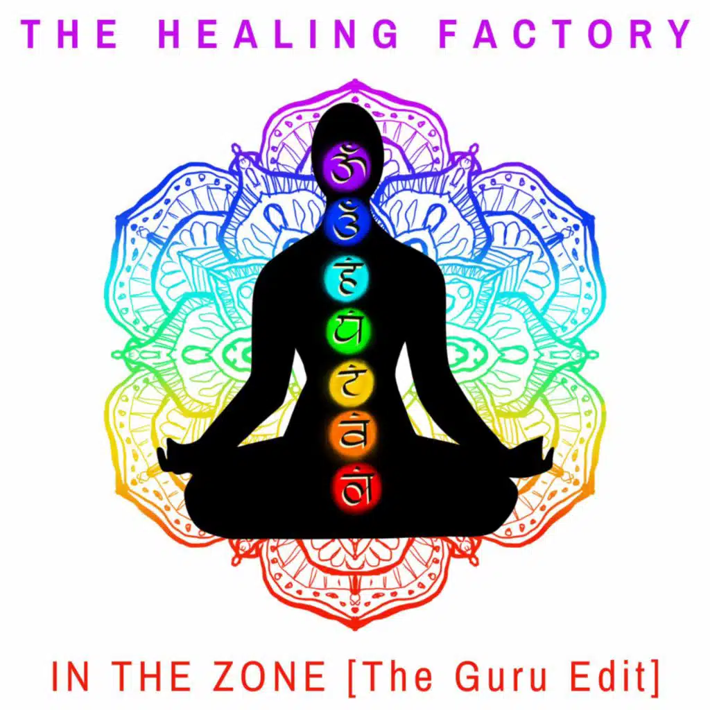 In the Zone (The Guru Edit)