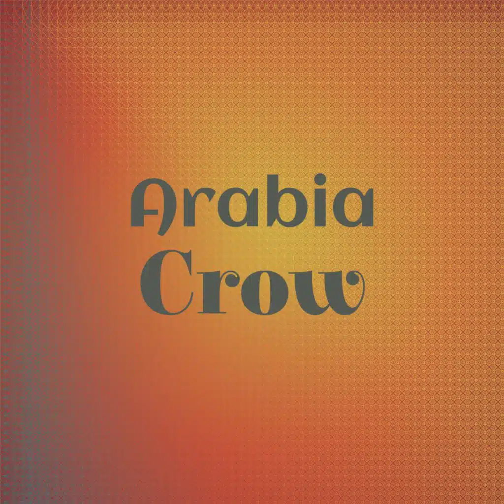 Arabia Crow
