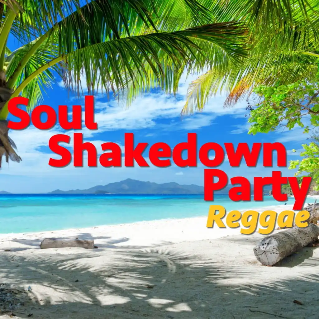Soul Shakedown Party