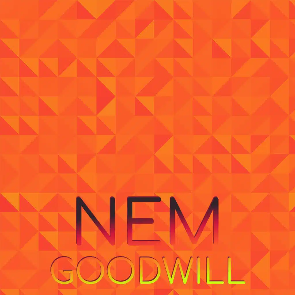 Nem Goodwill