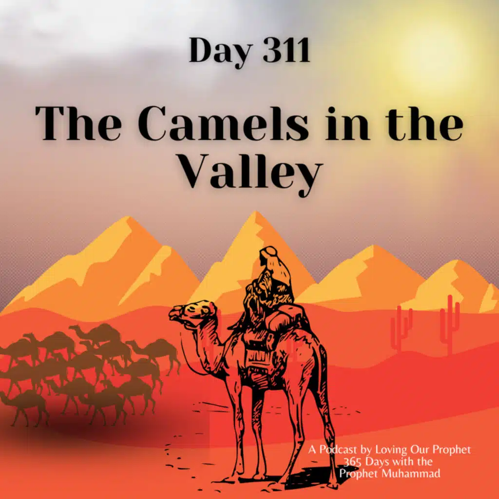 Day 311 - The Camels in the Valley