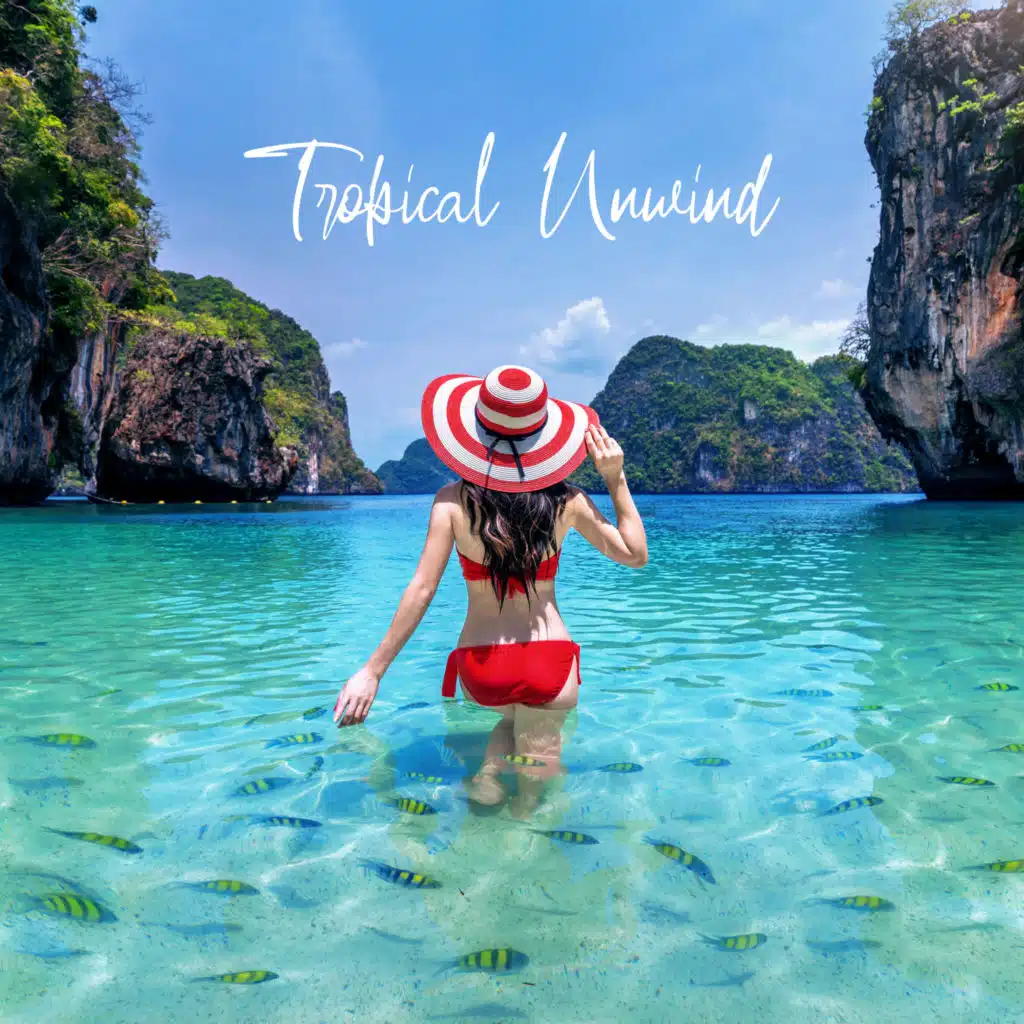 Tropical Chill Music Land