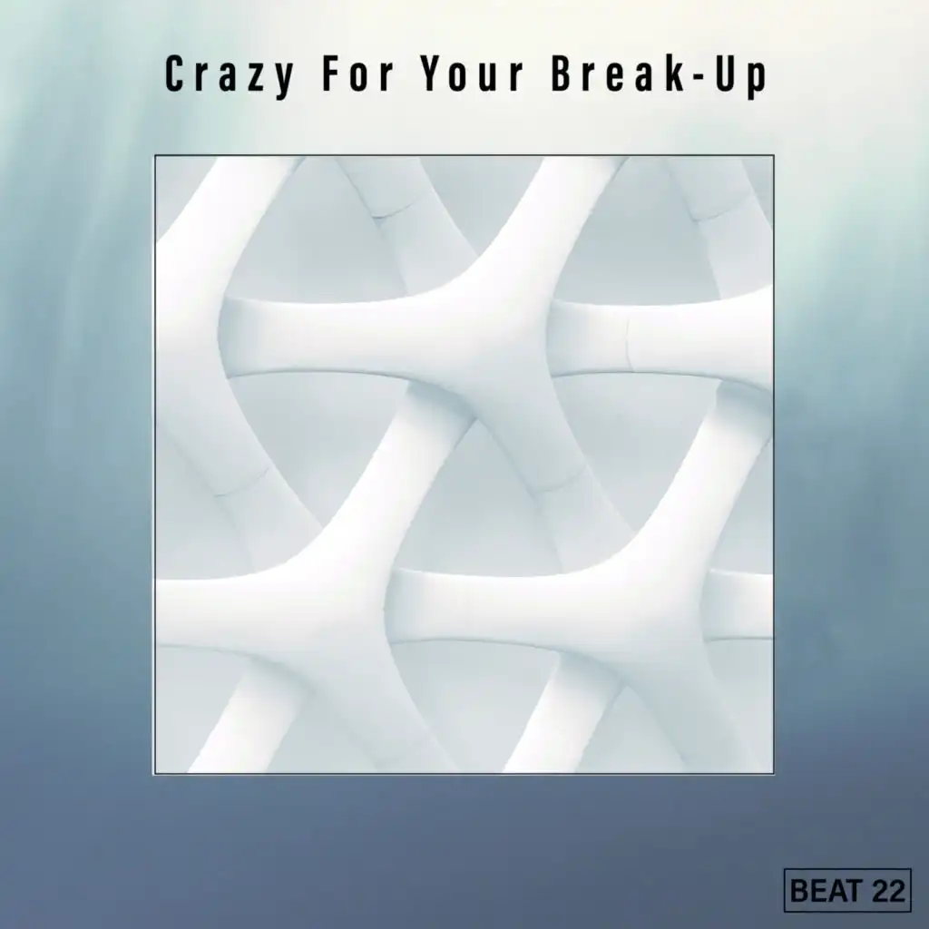 Crazy For Your Break-Up Beat 22