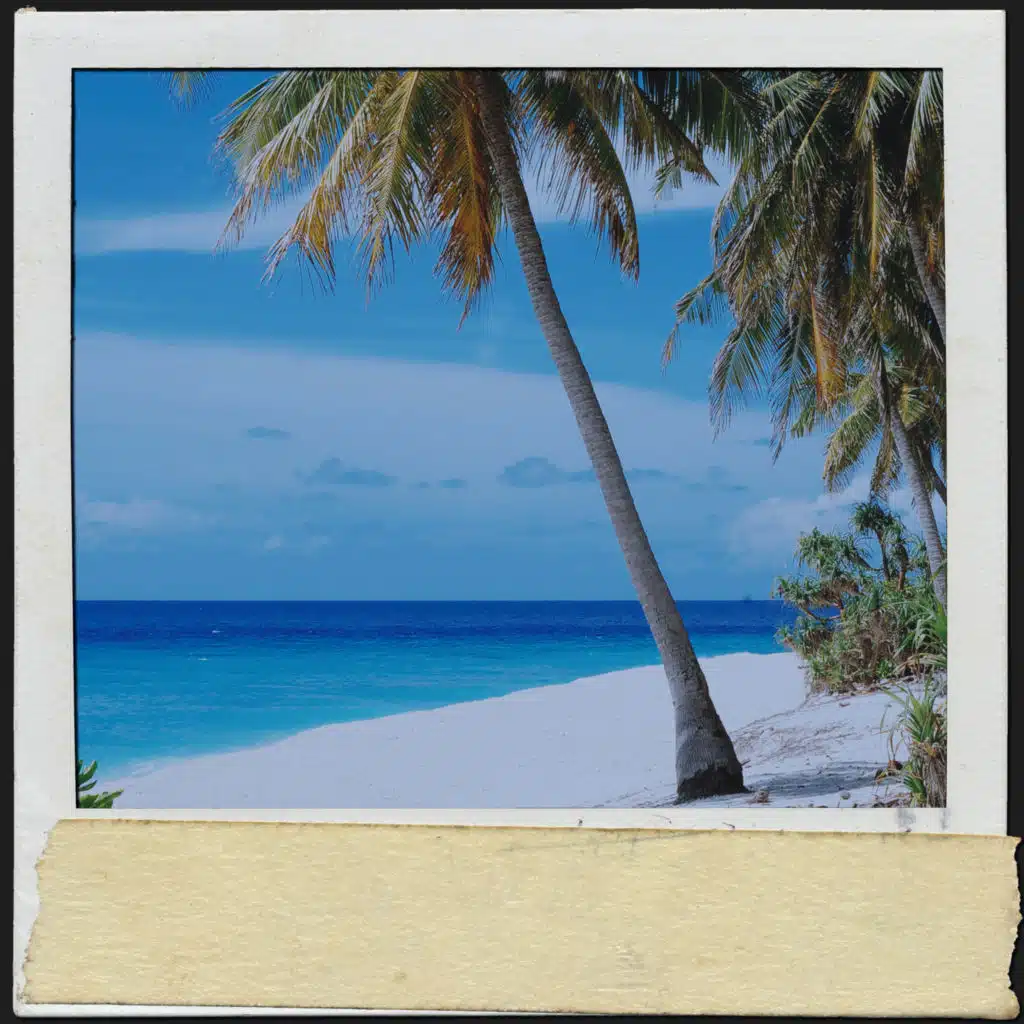 Musique de la mer et de l'océan&nbsp;: plage d'été la nuit