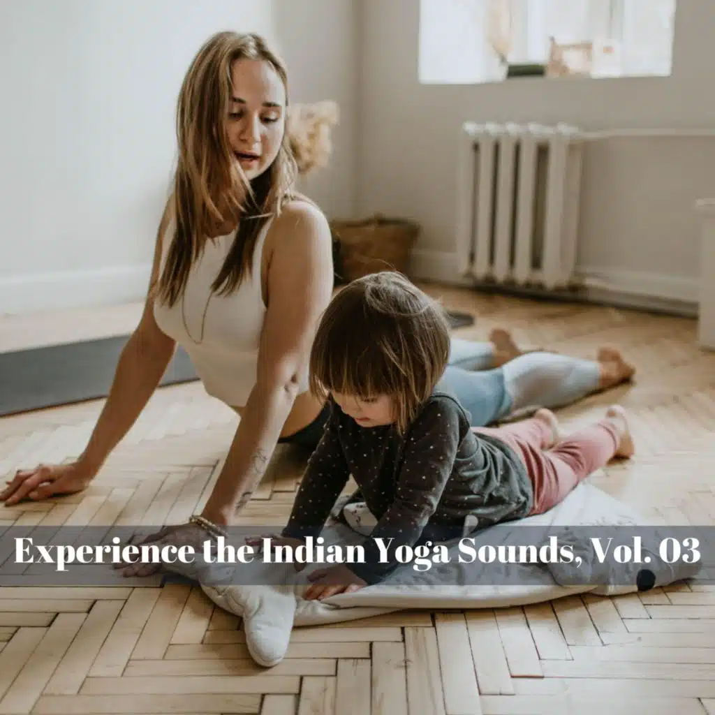 Experience the Indian Yoga Sounds, Vol. 03