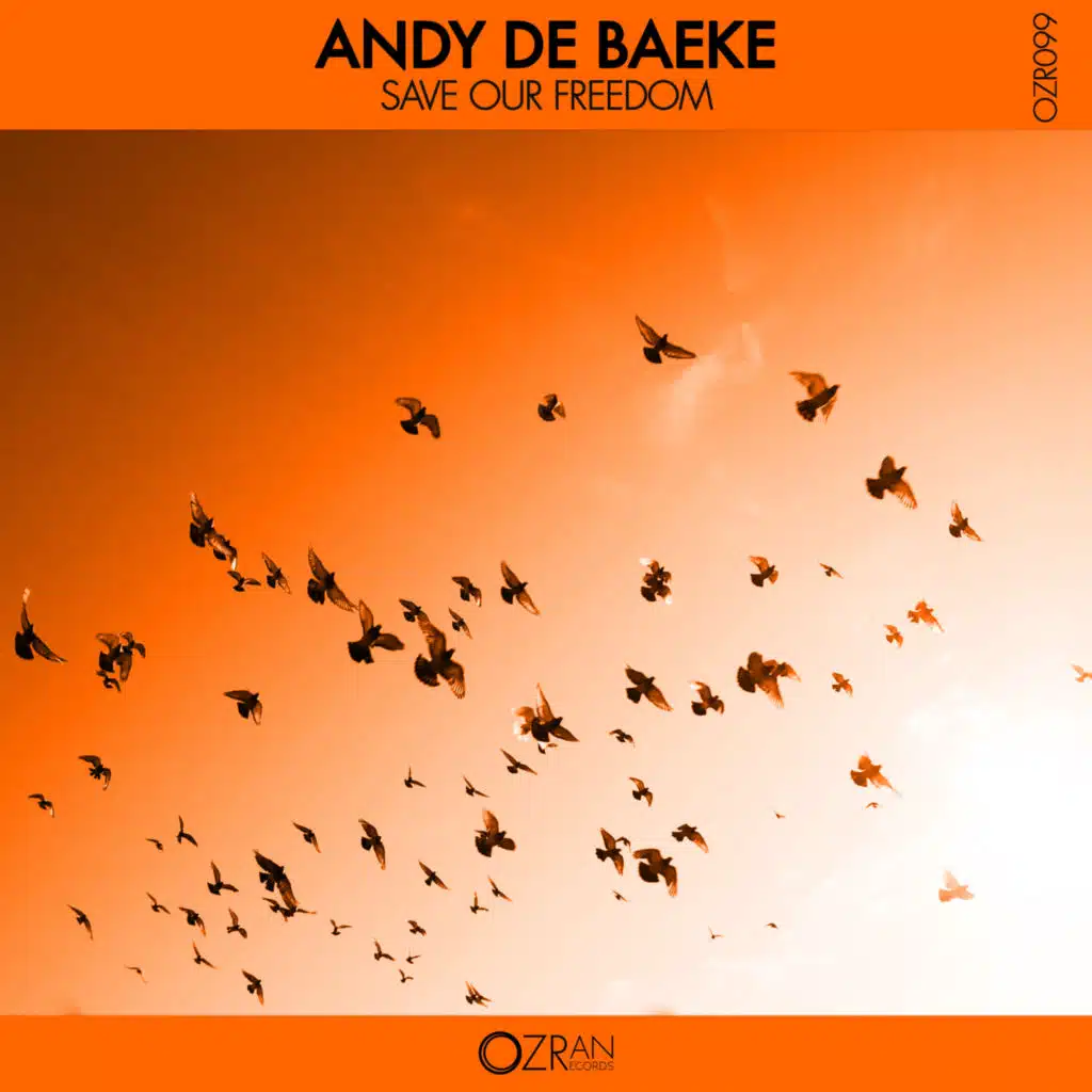 Andy De Baeke