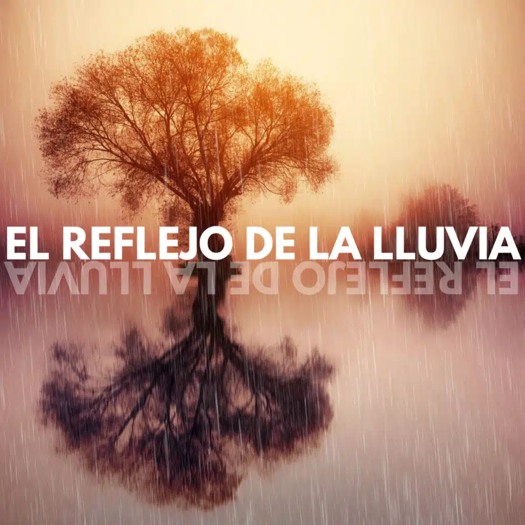 El Reflejo de la Lluvia