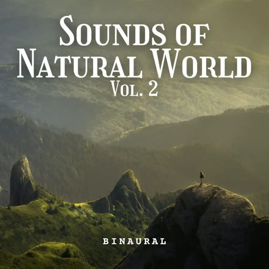 Binaural: Sounds of Natural World Vol. 2