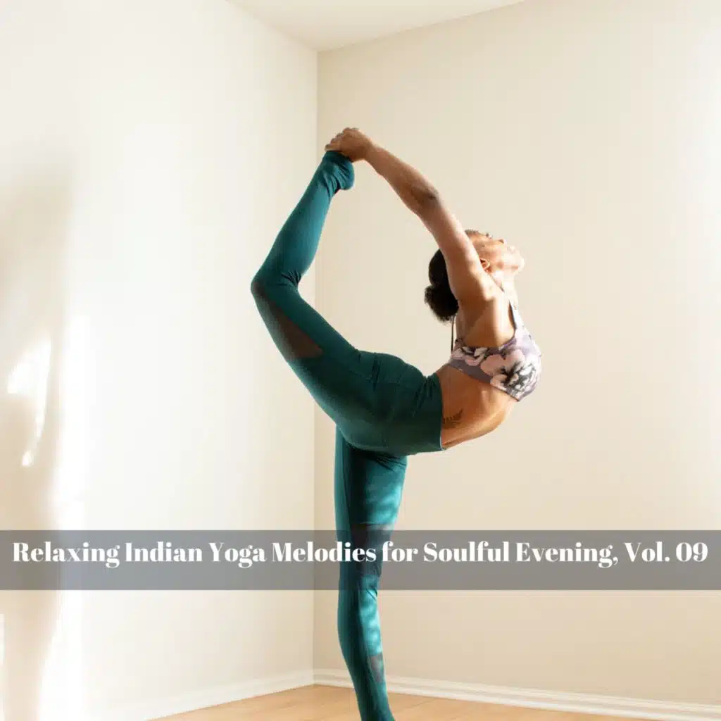 Relaxing Indian Yoga Melodies for Soulful Evening, Vol. 09