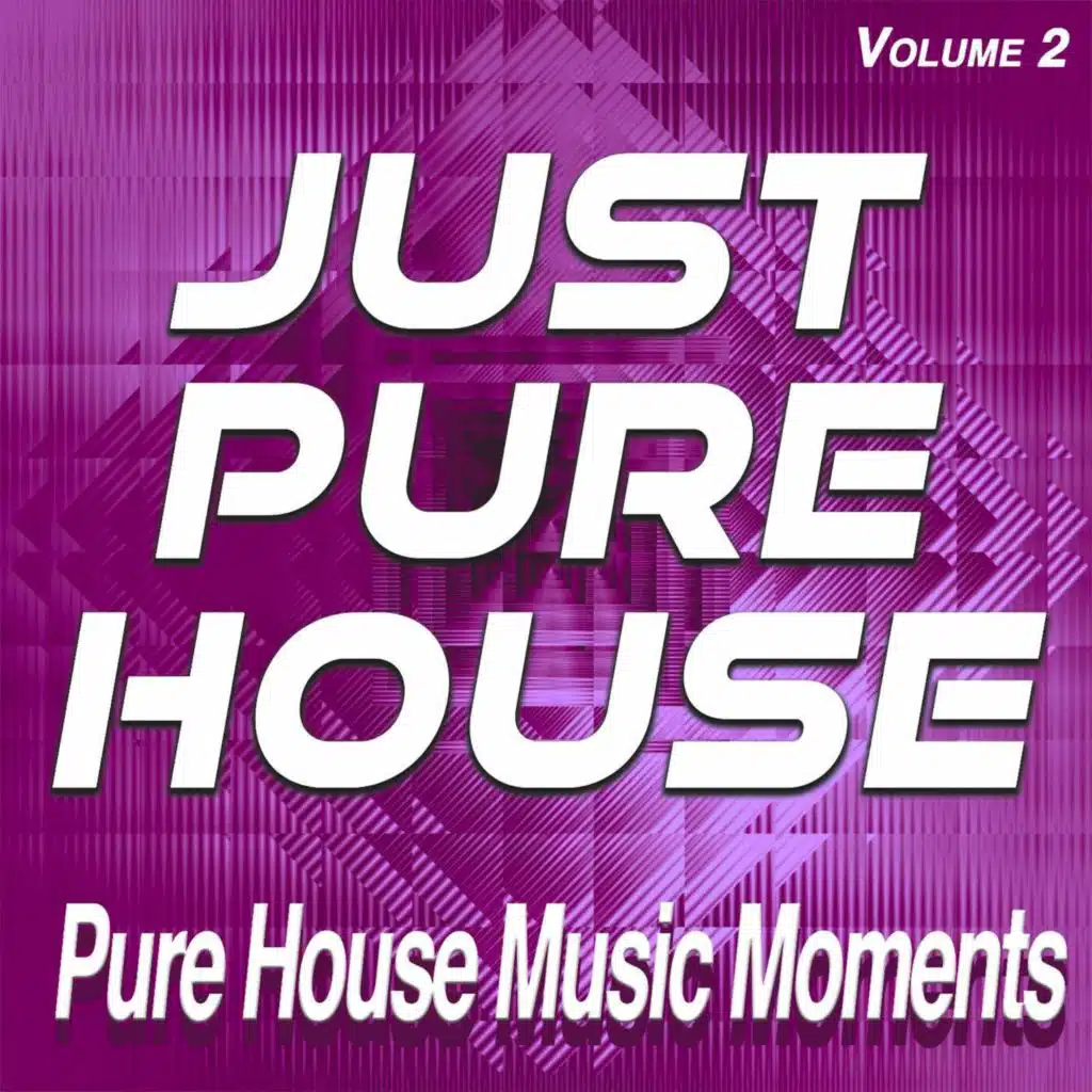 Just Pure House, Vol.2 - Pure House Music Moments