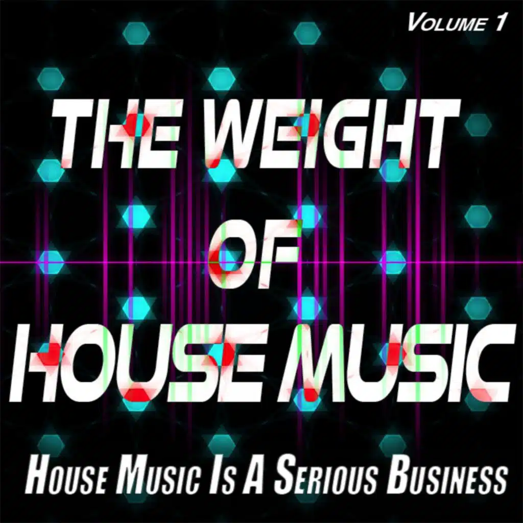 The Weight of House Music, Vol.1 - House Music is a Serious Business