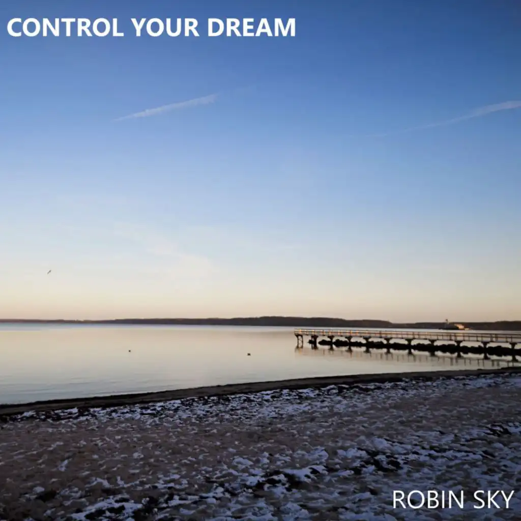 Control Your Dream