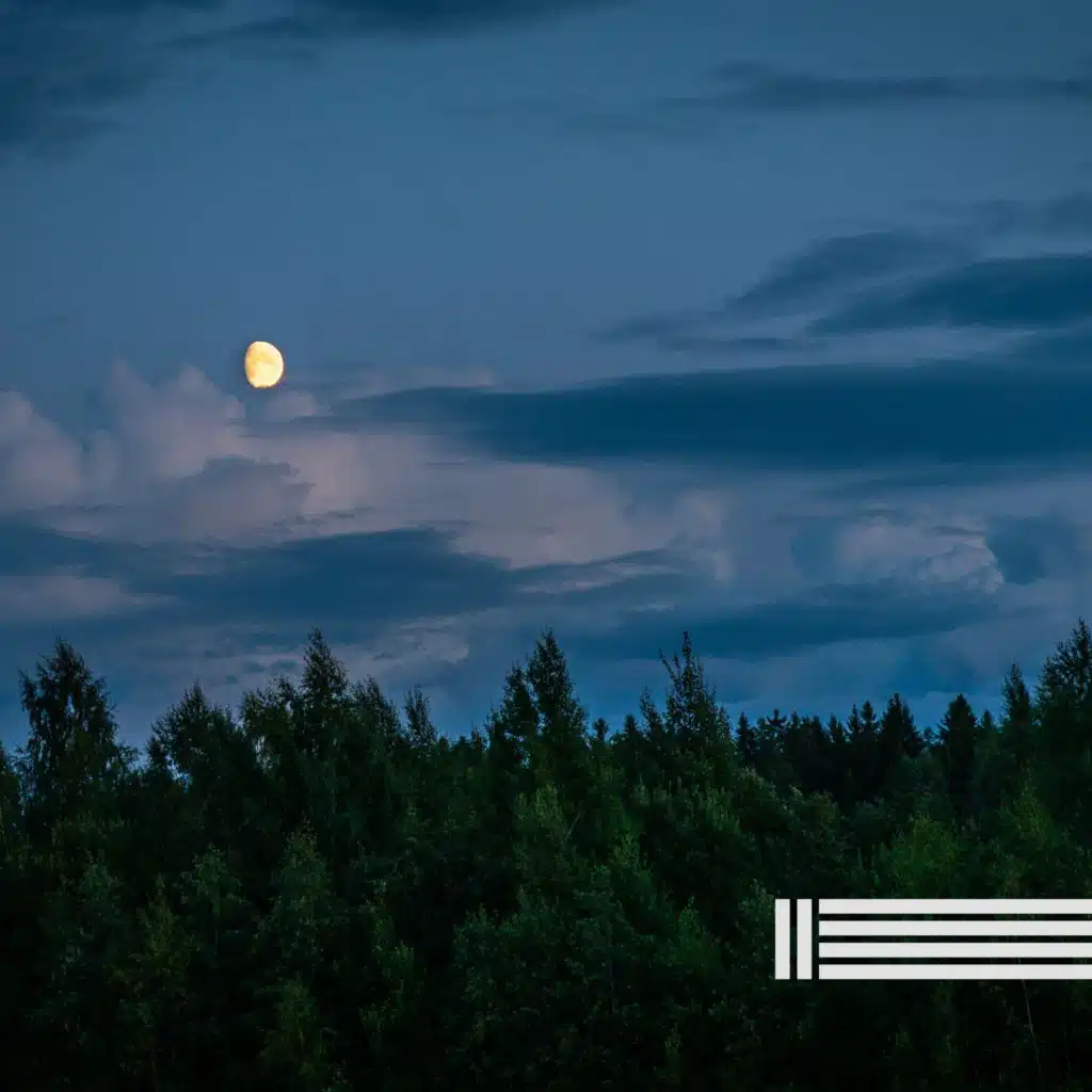 Night Crickets Sounds