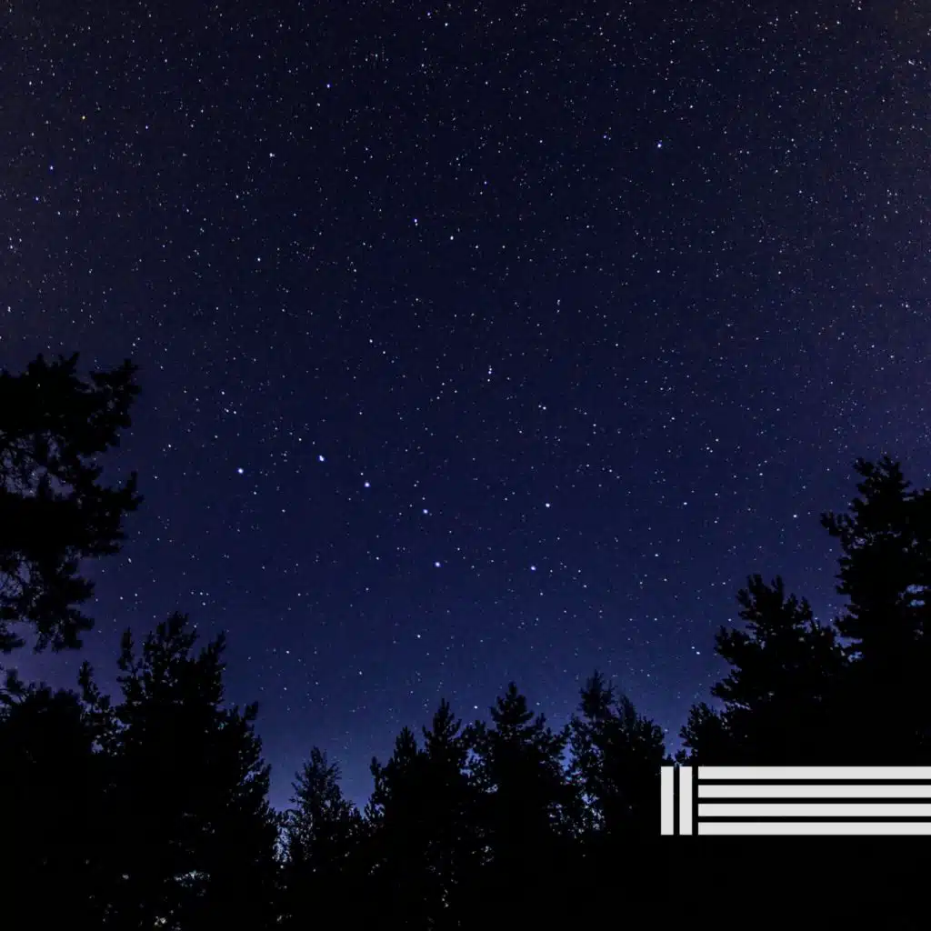 Klänge Der Nachtgrillen