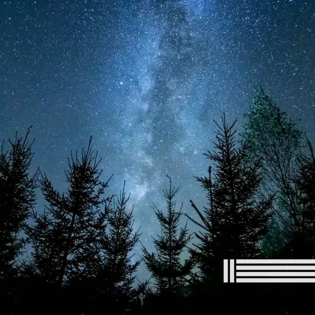 Sonidos De Grillos Nocturnos