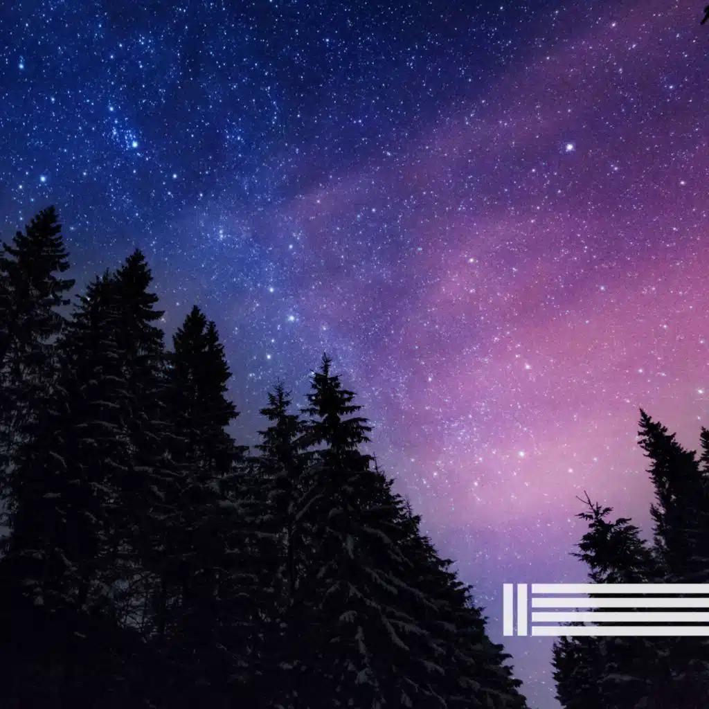 Sons De Grilos Noturnos