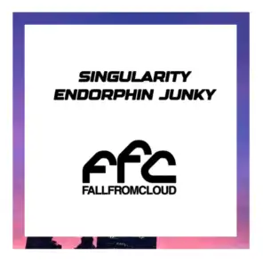 Singularity - Endorphin Junky