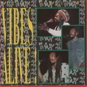 Vibes Alive! (Live in Santa Cruz 1991)