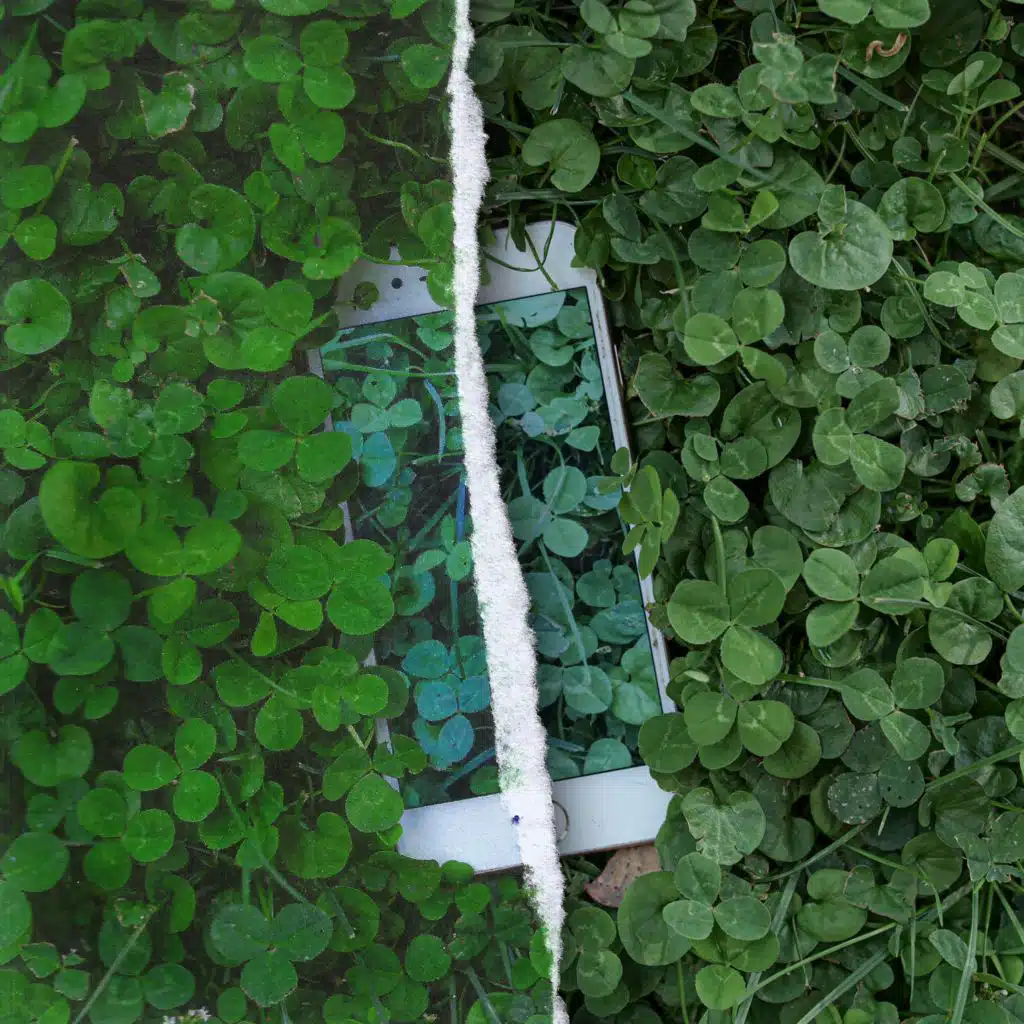 Ascension (Mssingno Remix)