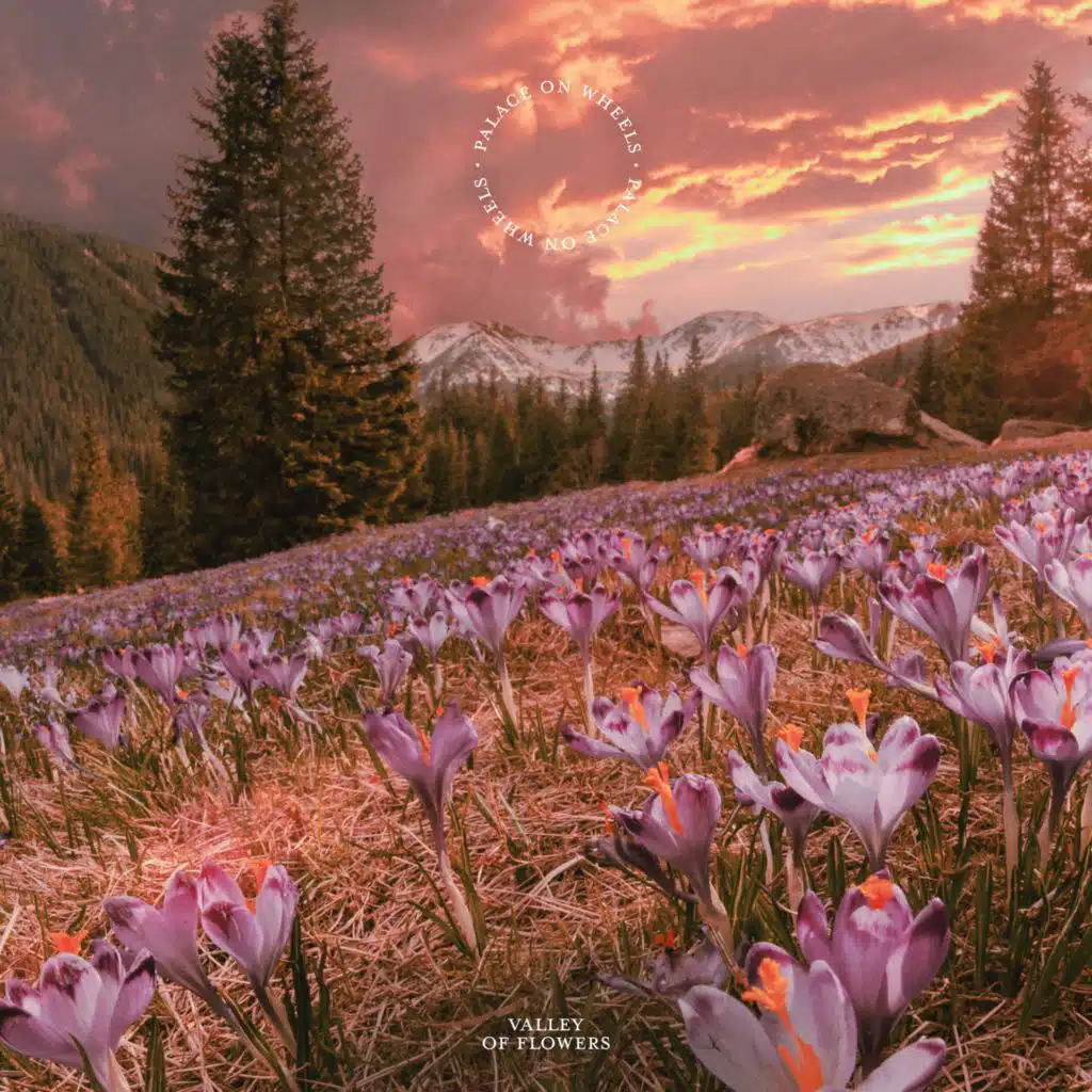 Valley of Flowers