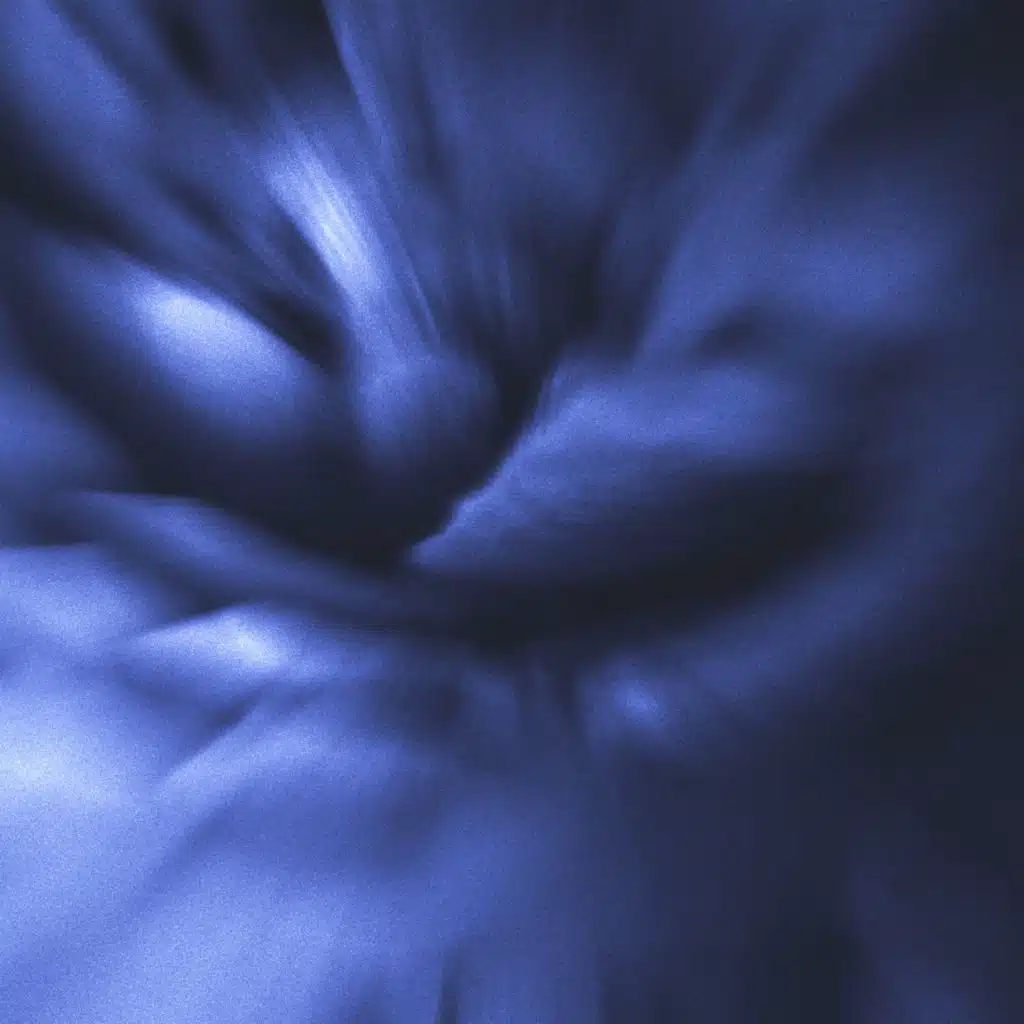 Floating Shells XI (Medium)