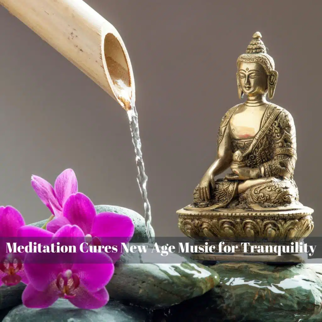 Meditation Light