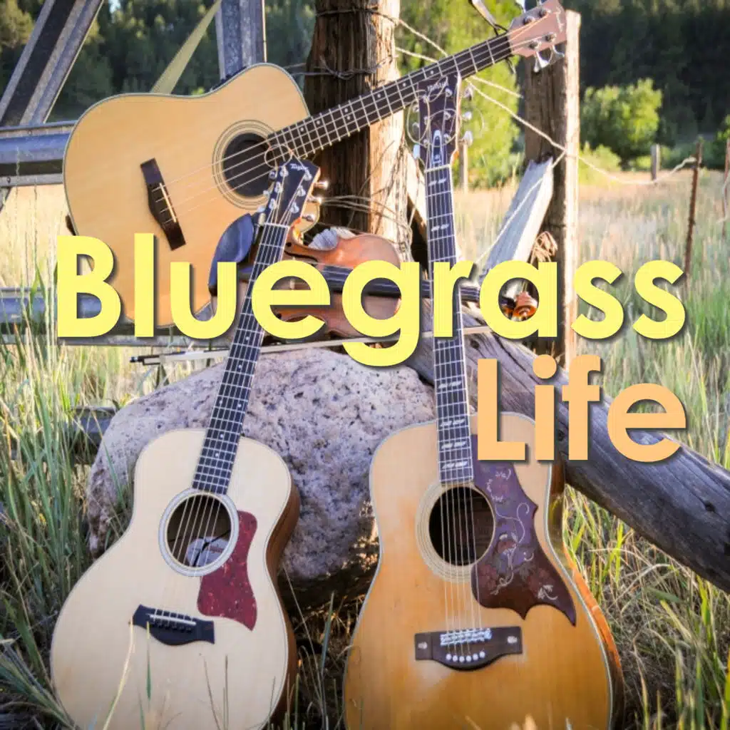 Flint Hill Special (Live)